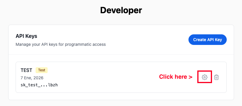 API key settings for webhook configuration